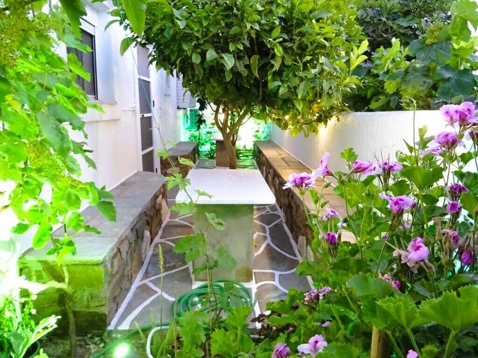 Your room has a beautiful shared garden with lemon trees where you can sit.