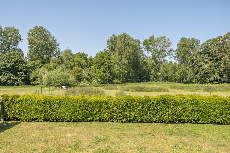 Countryside views