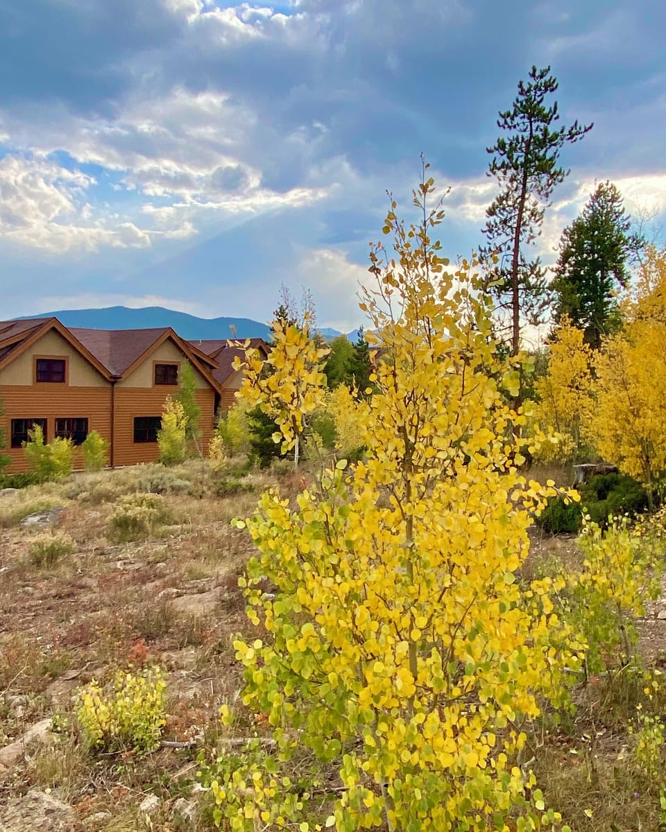 Fall Colors at Antlers Gulch #fall