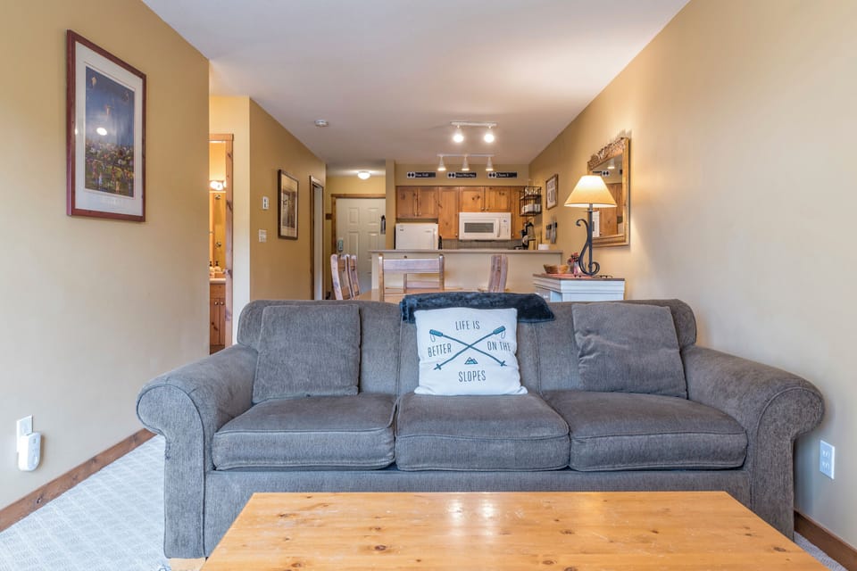 Pull Out Sofa Bed 