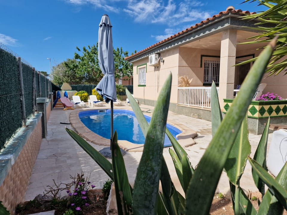 Enjoy Mediterranean living: The outdoor area of House Angeles combines an inviting terrace with a private pool and green garden accents.