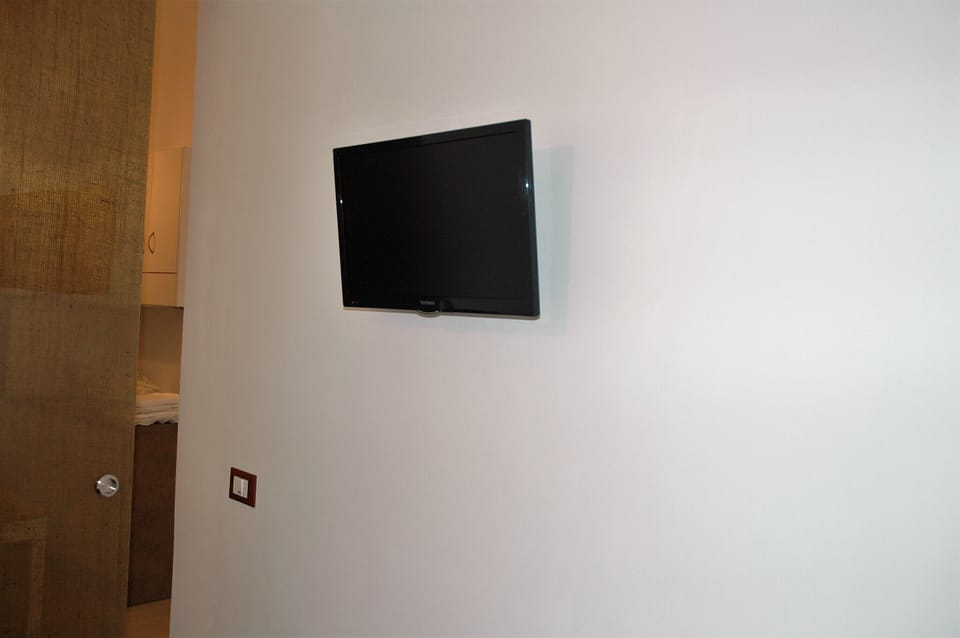 Television