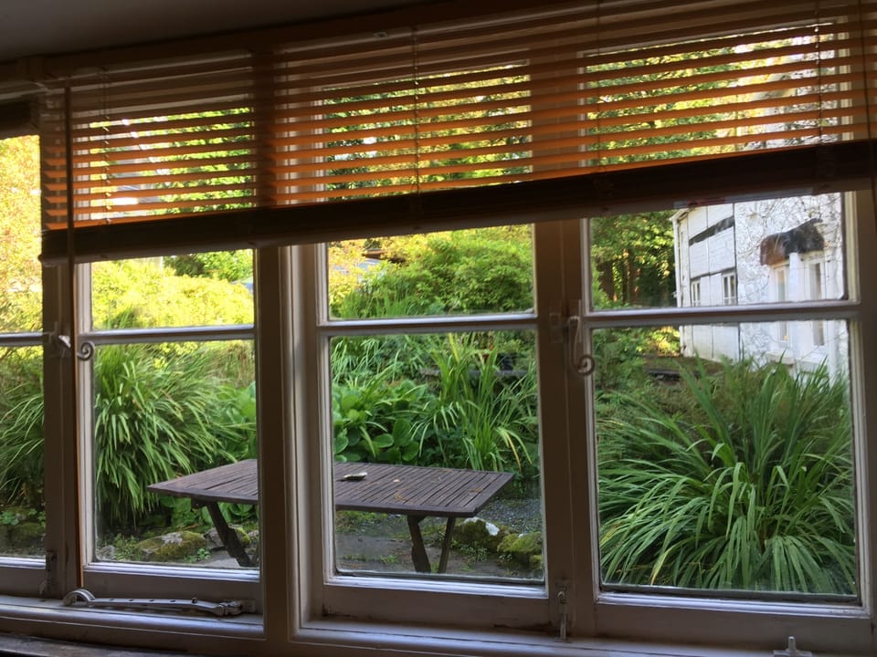 View through dinning room window to private garden