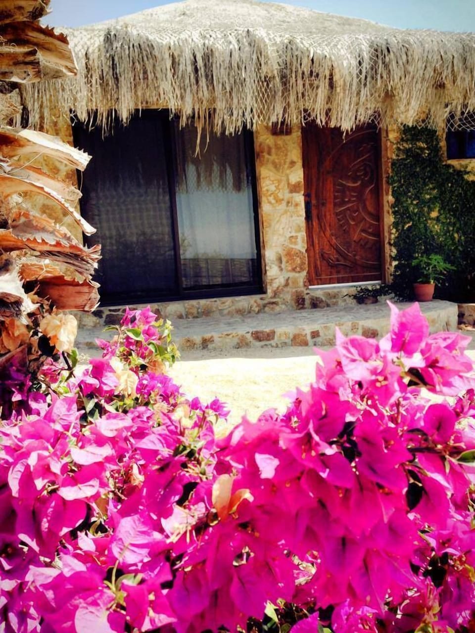 View of Palapa Pitaya