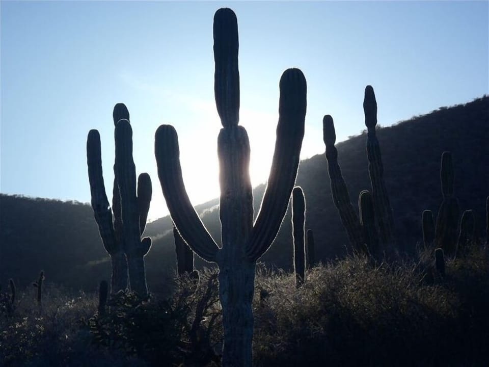 Nature of the place