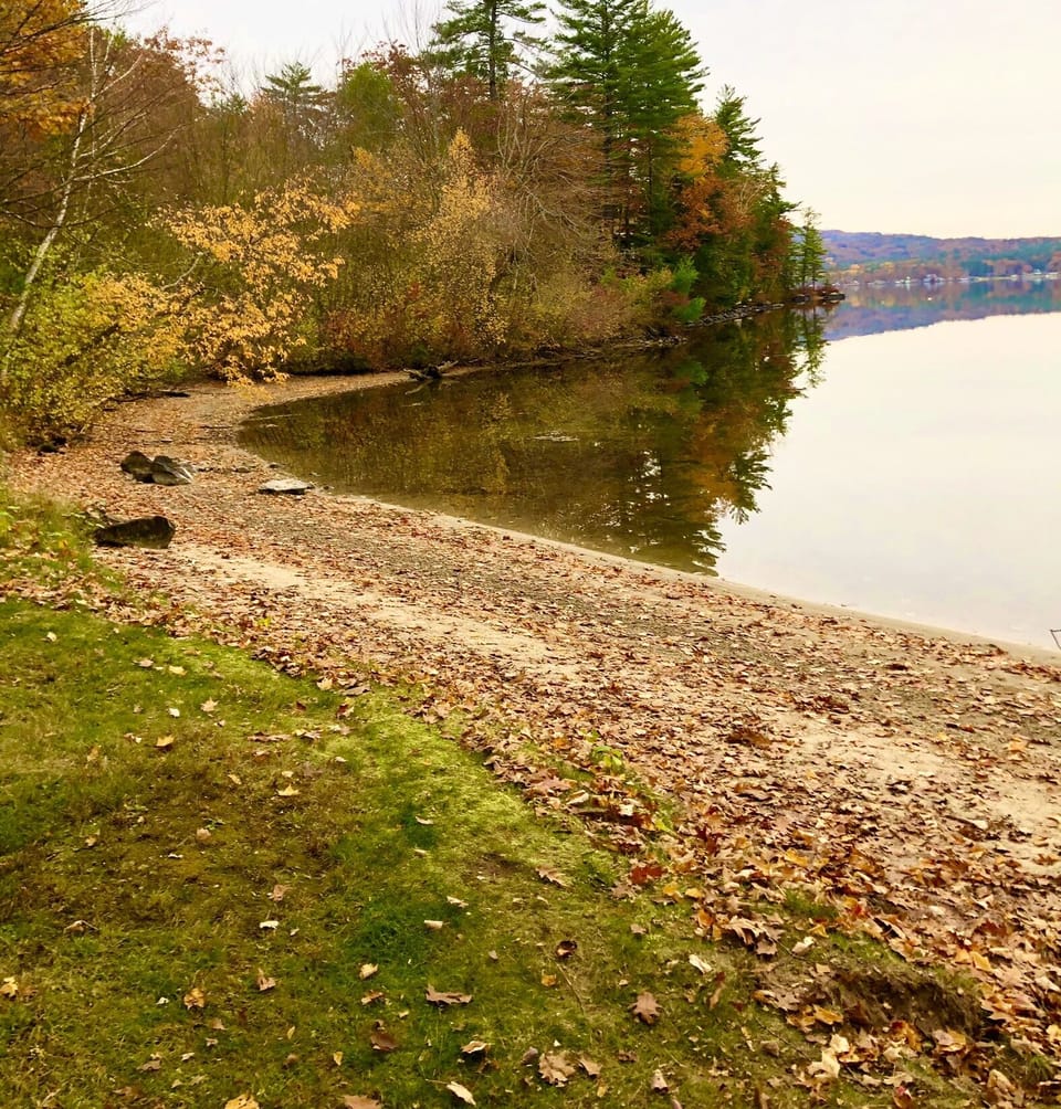 Your beach 10-23-22.  Great fishing, abundant wildlife. Direct
Ice access.