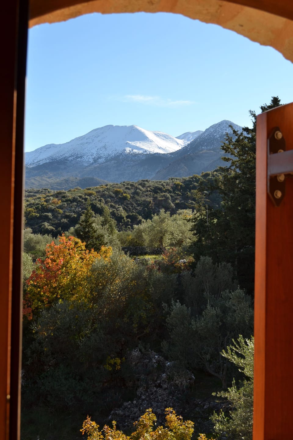 View from property