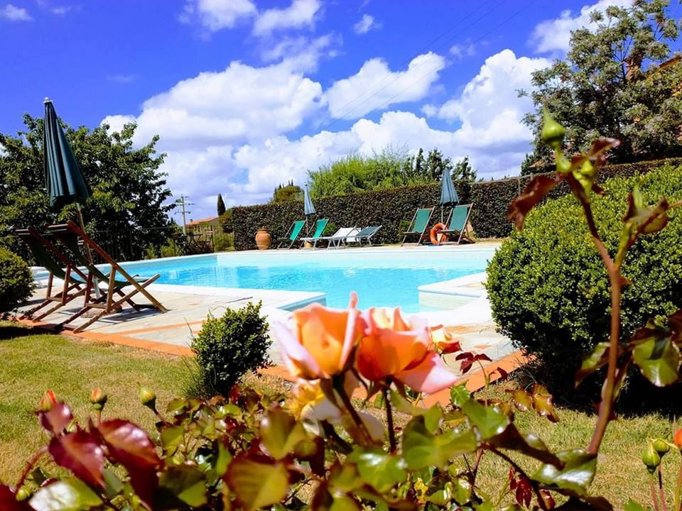 The pool