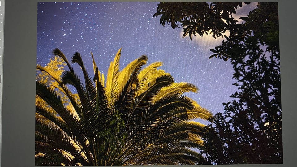 Starry and Moonlight