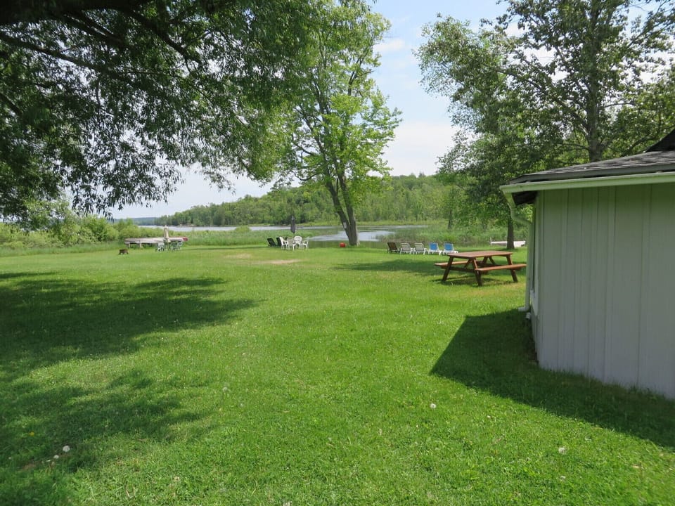 Lower cabin area
