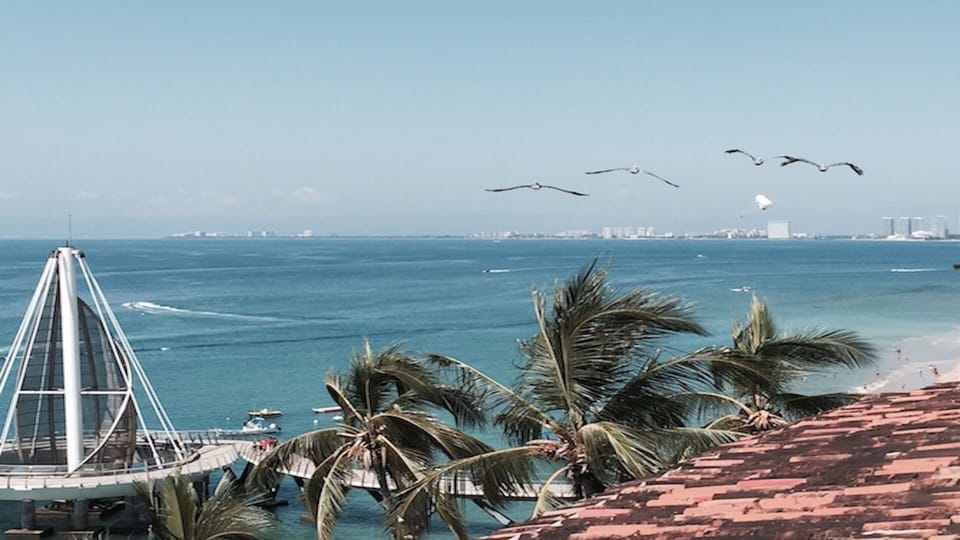 La palapa 407, near Los Muertos Beach. (MyPvRentals)