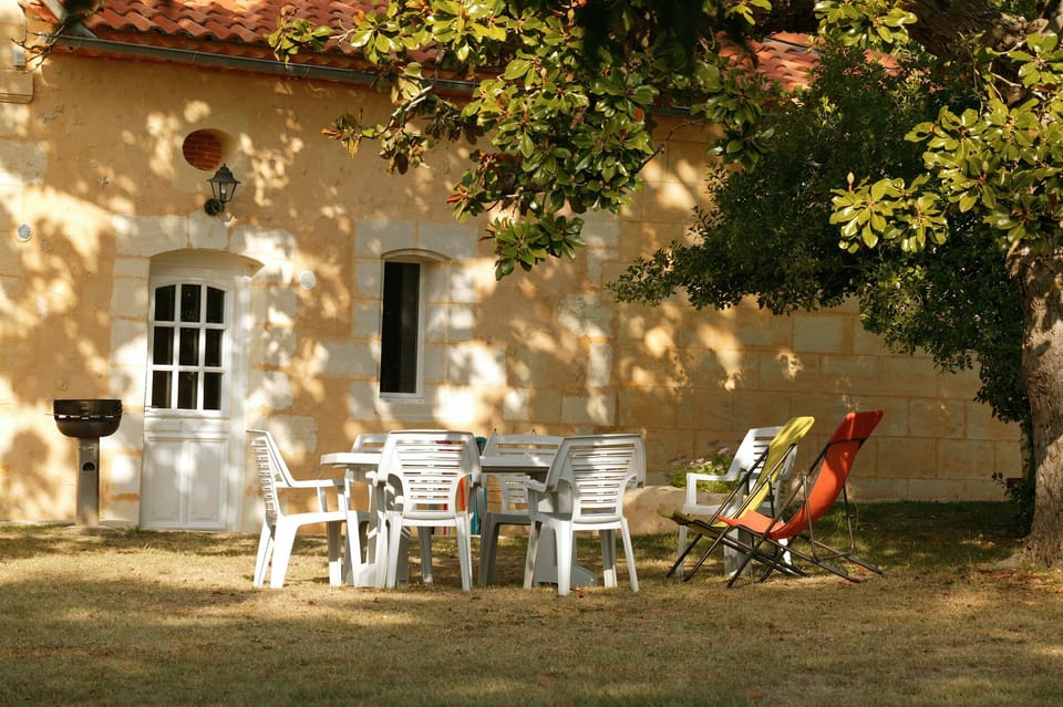 Le Magnolia in morning Autumn light