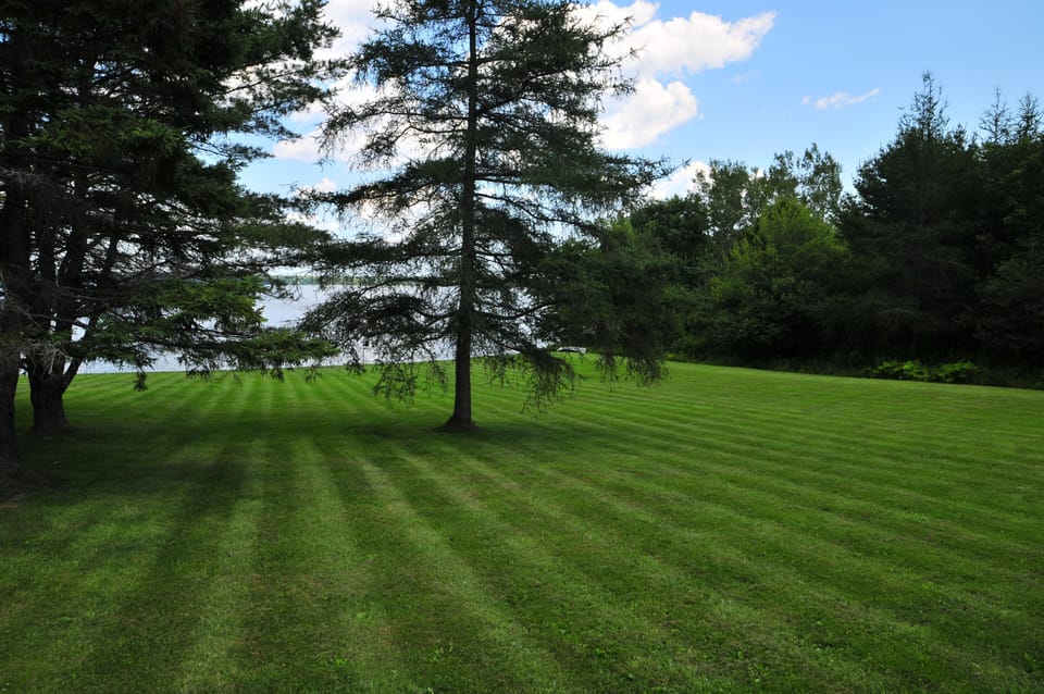 Lower yard view