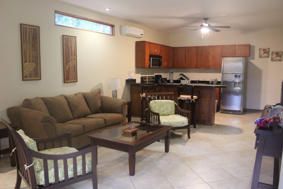 Living room (entrance view)