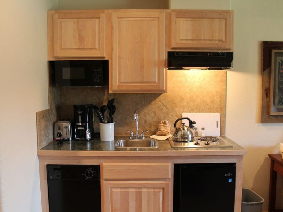 Kitchenette with stovetop, dishwasher and frig.