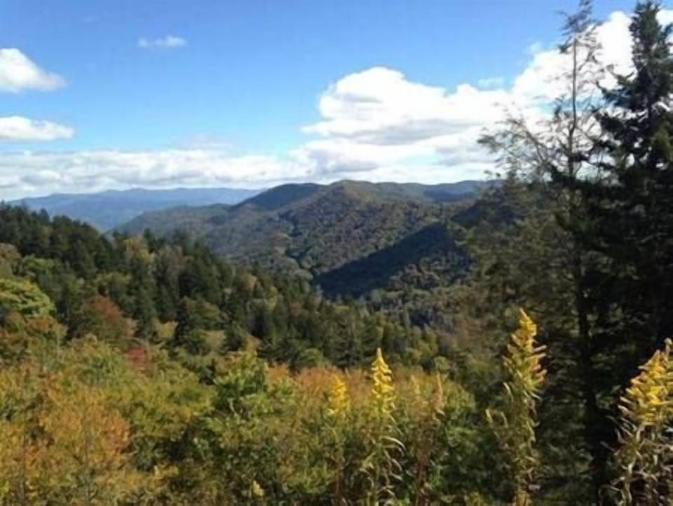Smokey Mountain Views