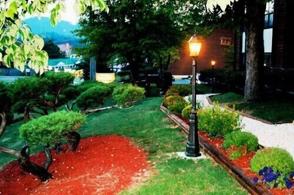 Smokey Mountain Views