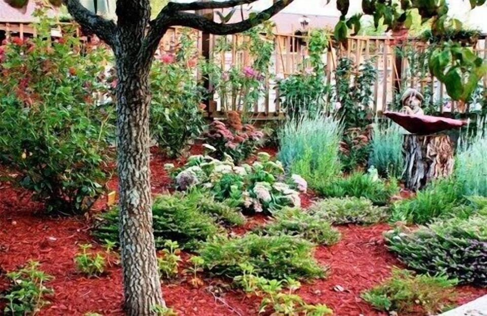 Beautiful Gardens