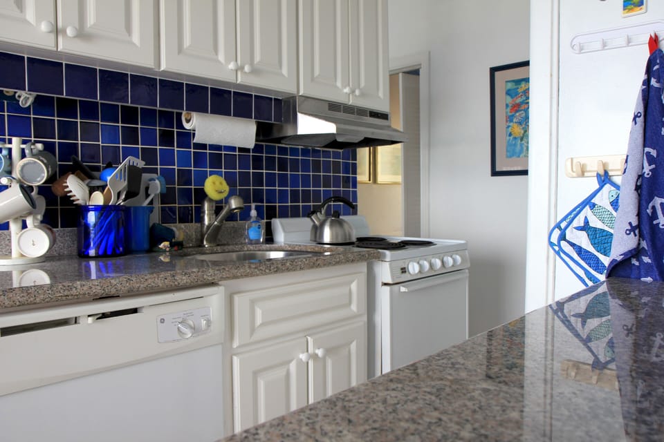 The kitchen area with dishwasher and garbage disposal