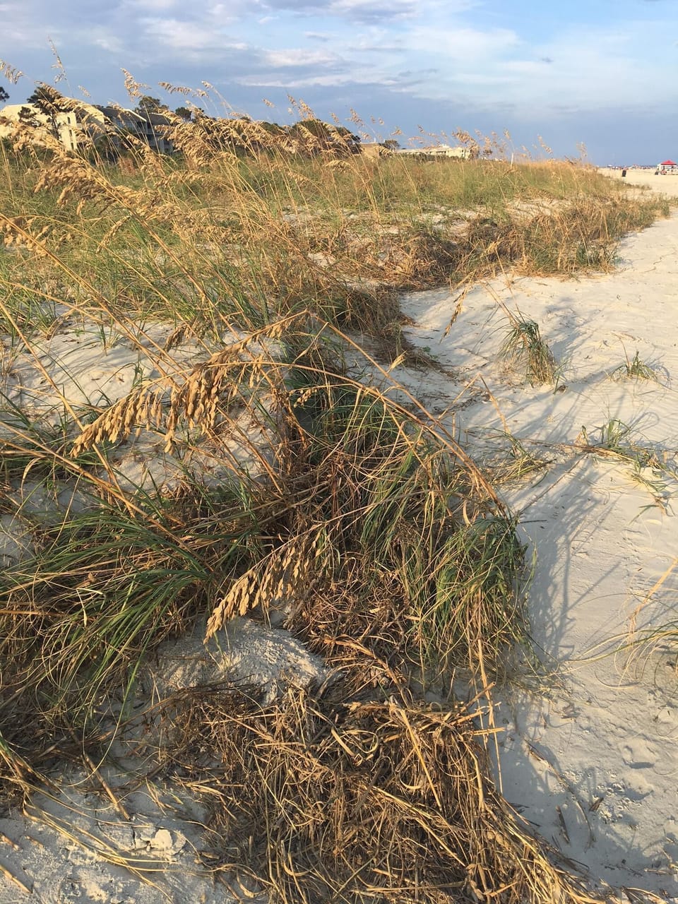 Dunes on or beach