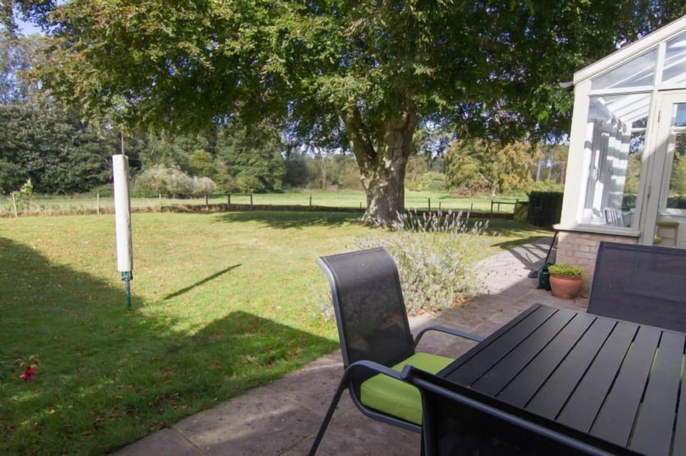 The garden and beech tree