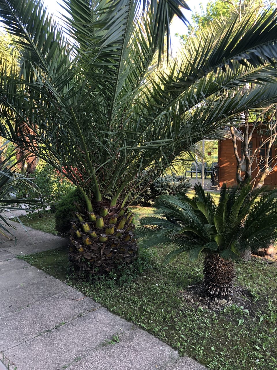 Property grounds