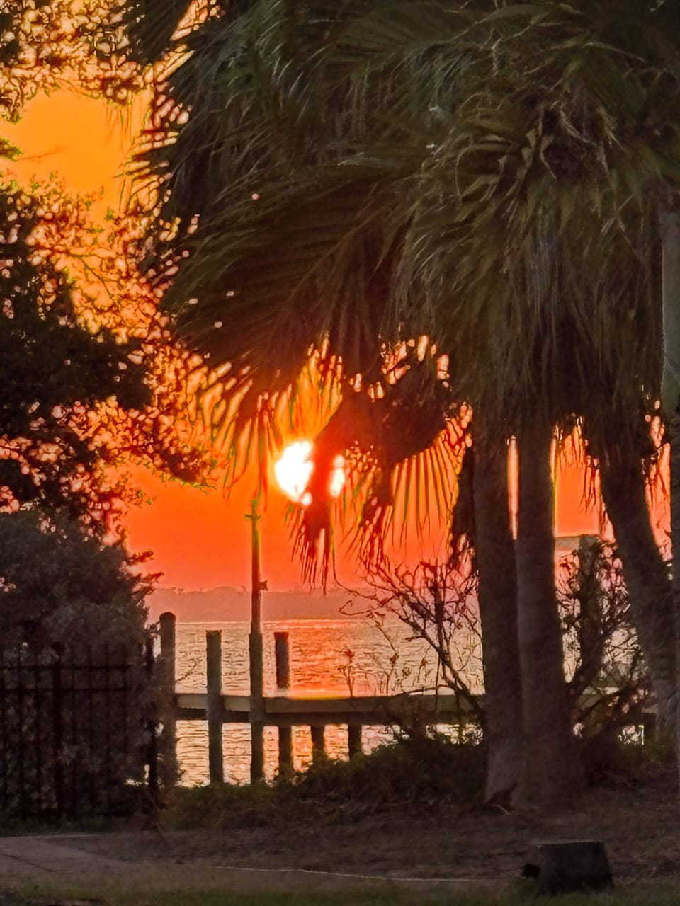 March 2025 photo I took