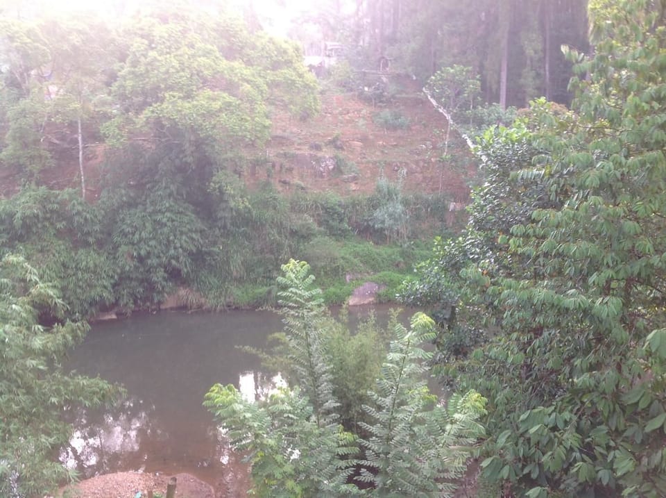 Land view from property