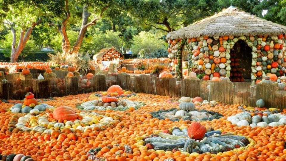 Dallas Arboretum - On White Rock Lake - Close by