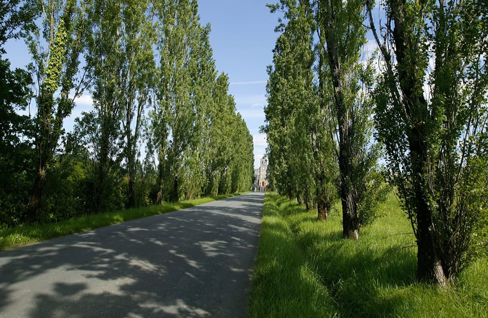 road leading to Saint Caprais de BOrdeaux
