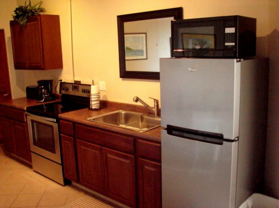 Second kitchen on lower level