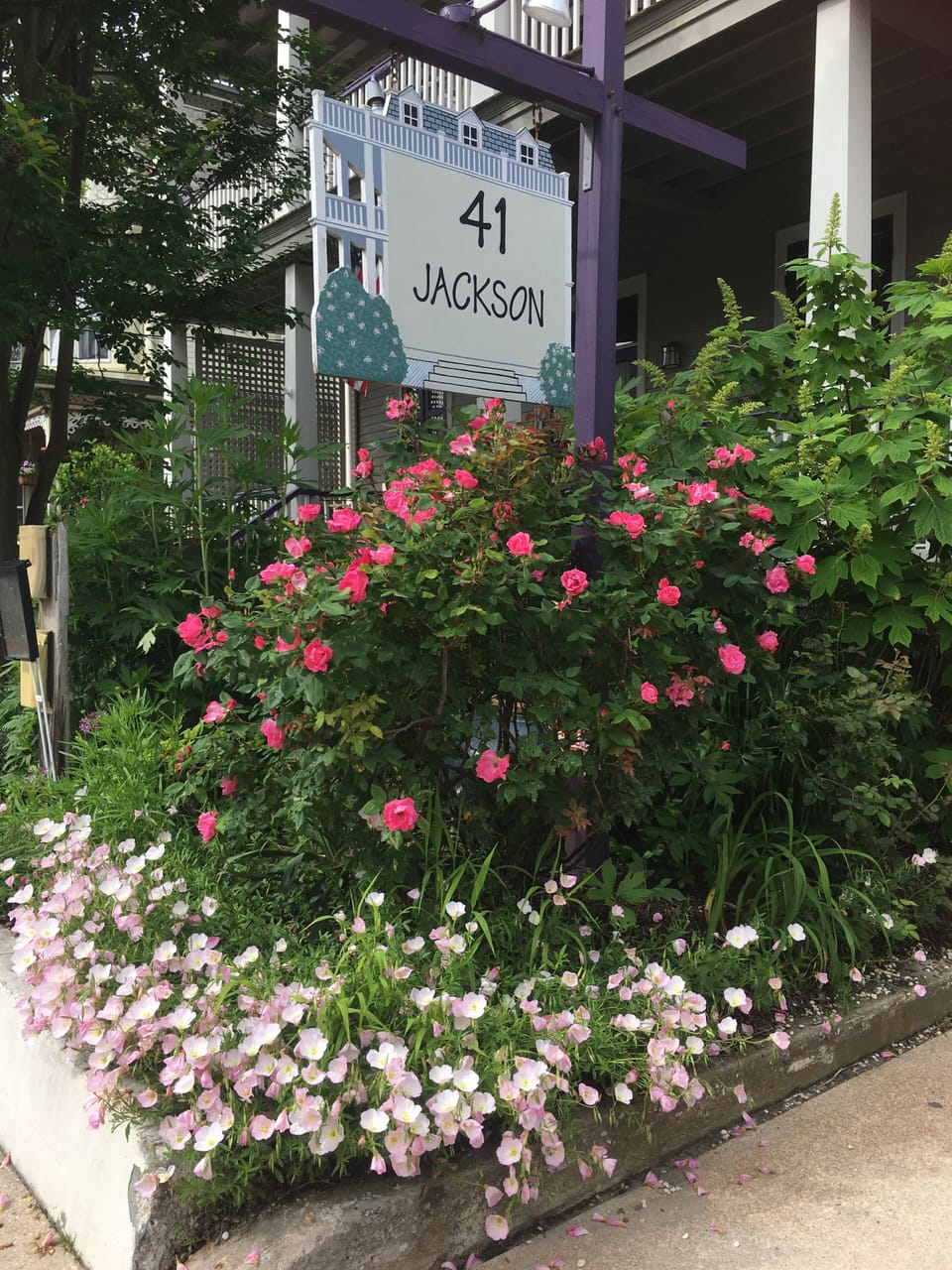 Welcome to the historic district of Cape May