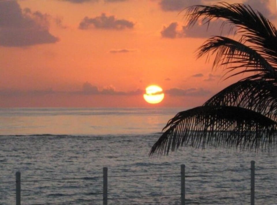 Sunrise serenity