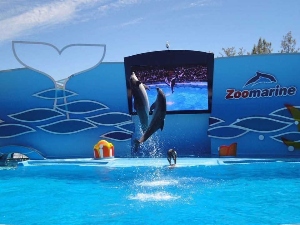 Zoo Marine