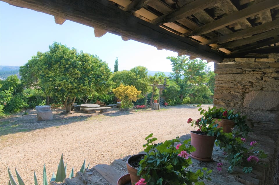 Patio with garden and outdoor dining area