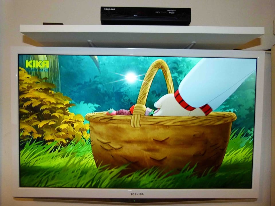 Television