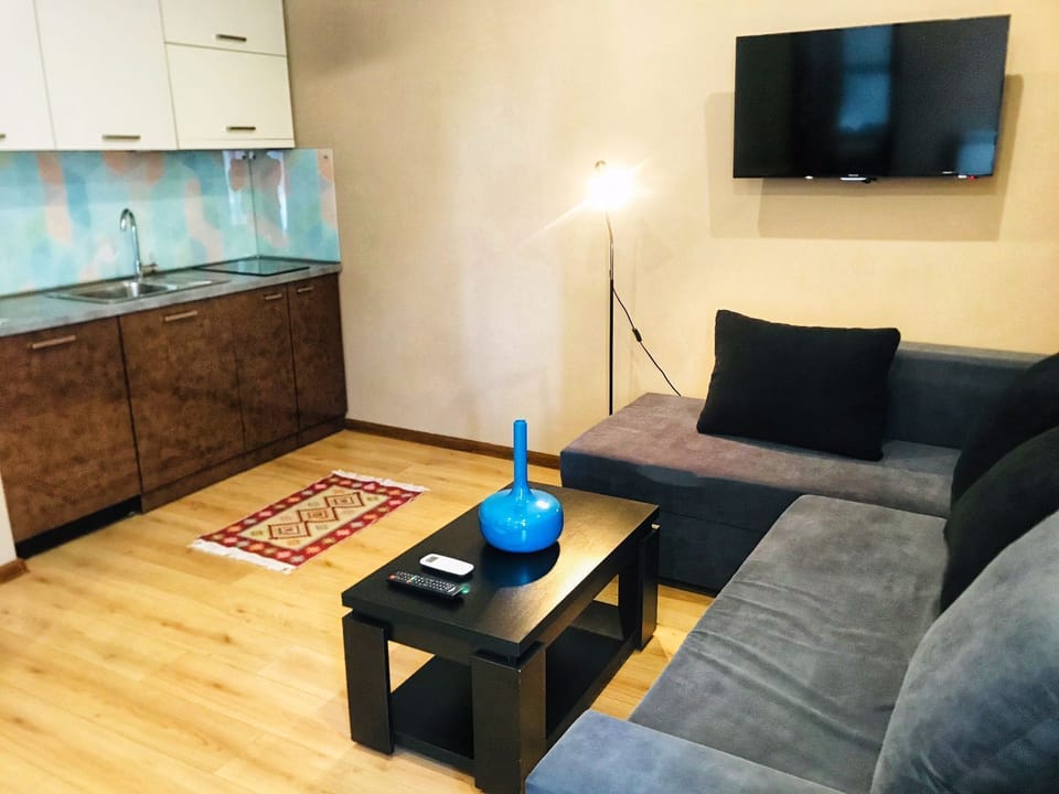Family Apartment, 1 Bedroom, Balcony | Living area | Plasma TV