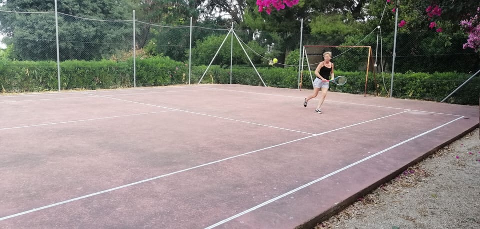 Sport court