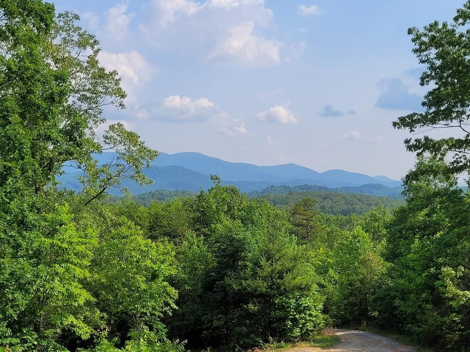 View from Back Spring