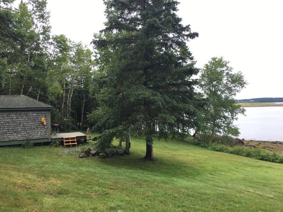 This cabin is 20 feet from the water and has lovely shade trees.