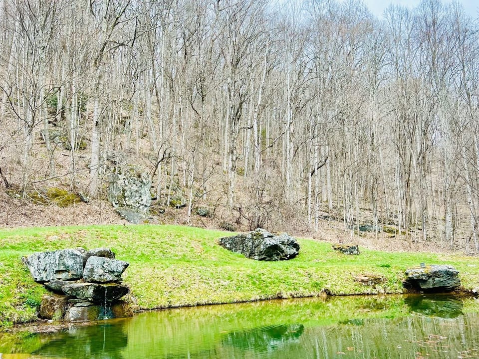 Pond on property