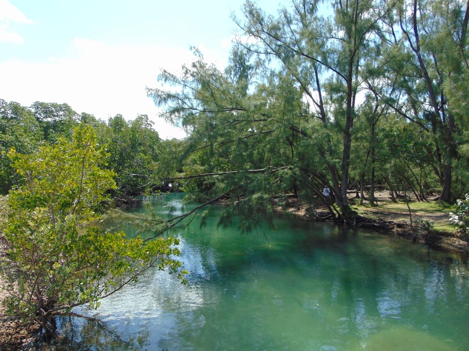 Oleta River North Miami