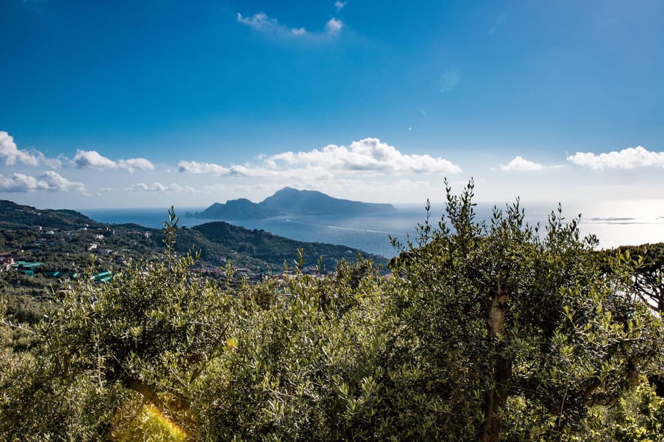 Villa Bellatrix - Villa with private swimming pool and panoramic view - Alnitak Apartment in Massa Lubrense