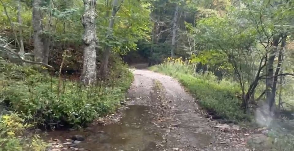 Stream you drive through to reach the house.