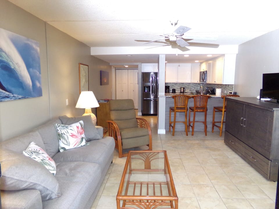 Living room with new super comfy couch ready for afternoon naps.
