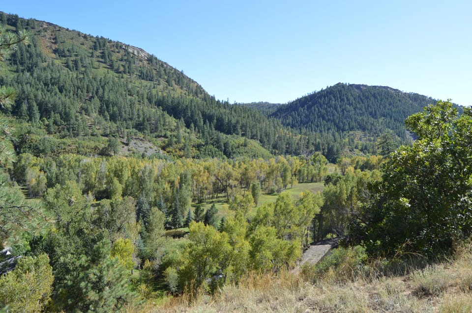 View off overlook at back of property