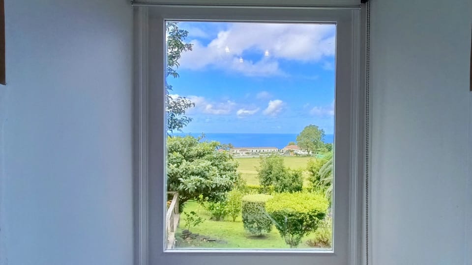 Kitchen view