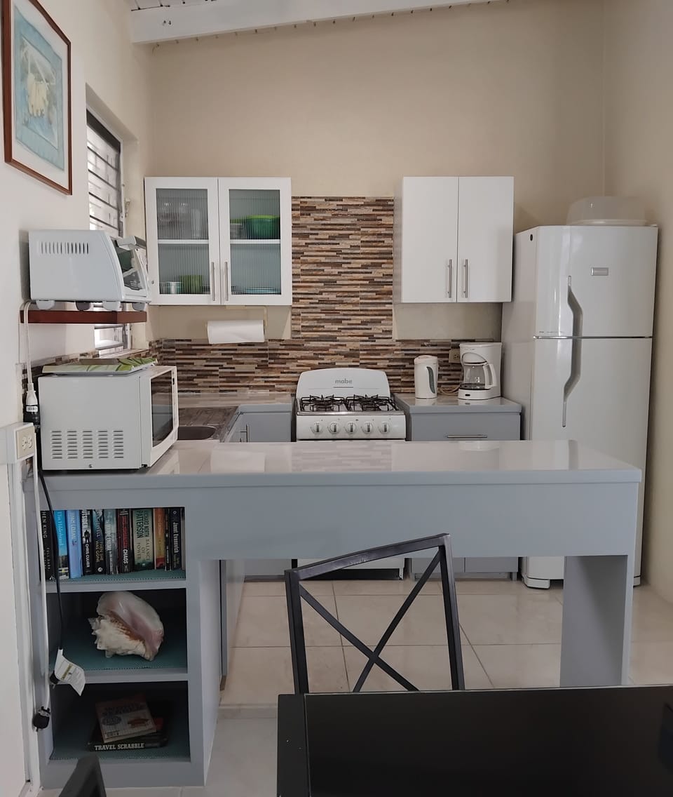 Well-equipped kitchen