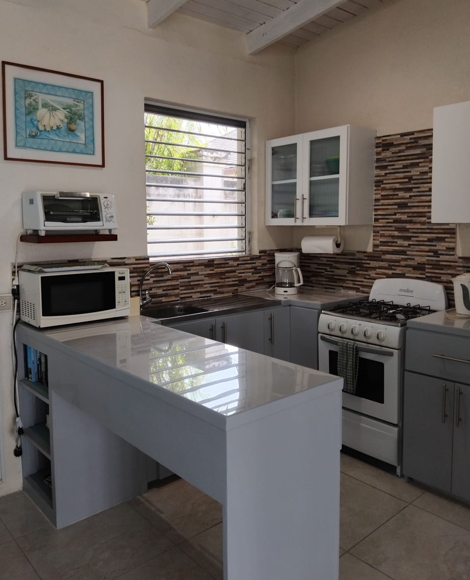Well-equipped kitchen