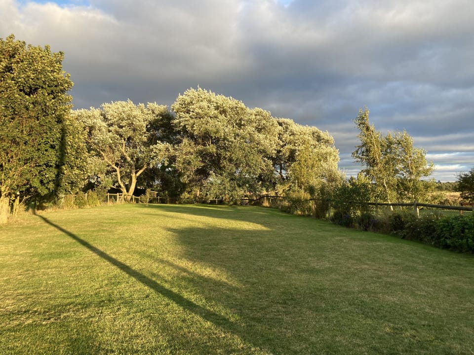 Beautiful light on the large fully enclosed garden.